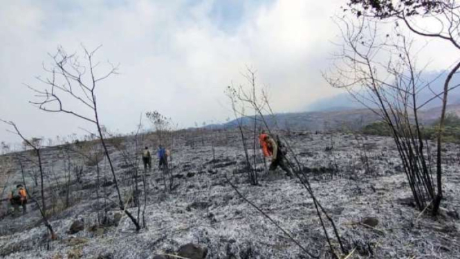Kondisi kawasan Gunung Arjuno yang masuk di wilayah Kabupaten Malang, Jawa Timur, usai tim gabungan melakukan pemadaman.