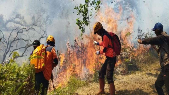  Upaya pemadaman tim gabungan di lereng Gunung Arjuno.