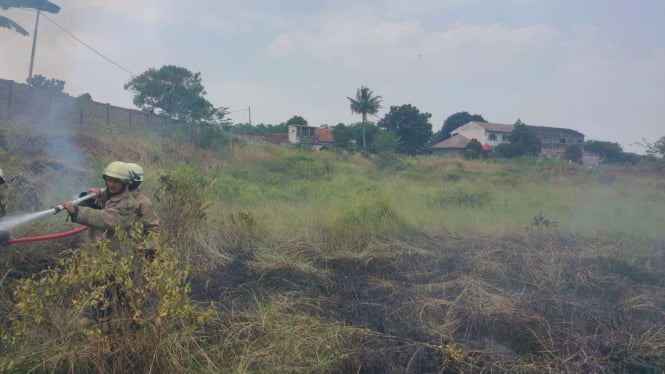 Lahan ilalang di BSD Tangerang hangus terbakar imbas kemarau