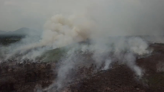 Kebakaran lahan di Desa Sungai Pelang, Kabupaten Ketapang, Kalbar