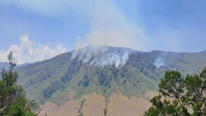 Kondisi kebakaran Gunung Bromo di Blok Watangan.