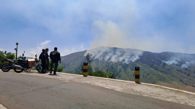 Petugas melihat kondisi kebakaran Gunung Bromo di Blok Watangan.