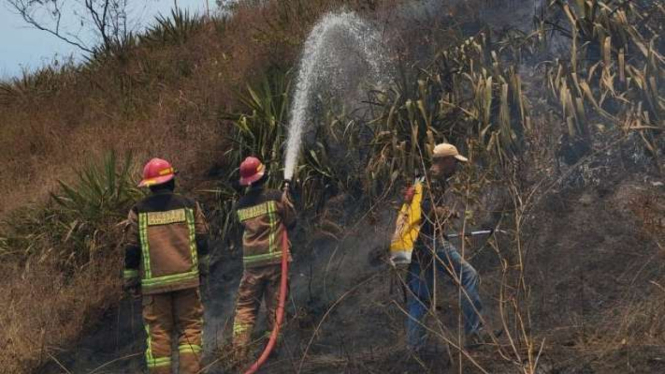 Sejumlah petugas berupaya memadamkan api yang membakar lahan hutan di Gunung Guntur, Kabupaten Garut, Jawa Barat, Kamis, 7 September 2023.