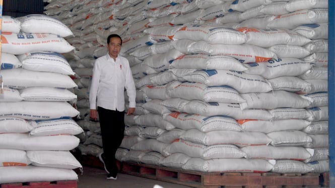 Presiden Jokowi tinjau stok cadangan beras pemerintah di gudang Bulog, Bogor