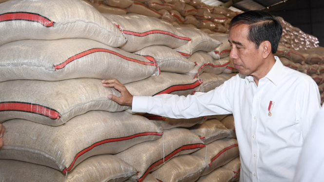 Presiden Jokowi tinjau stok cadangan beras pemerintah di gudang Bulog, Bogor