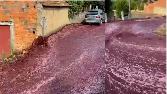 2 Juta Liter Wine Banjiri Sebuah Kota di Portugal