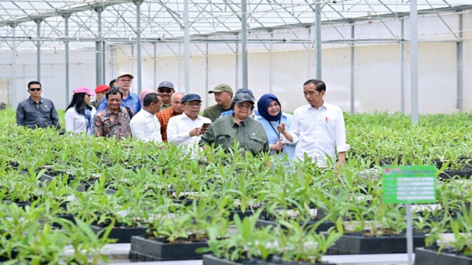 Presiden Jokowi meninjau persemaian Mentawir di IKN Nusantara
