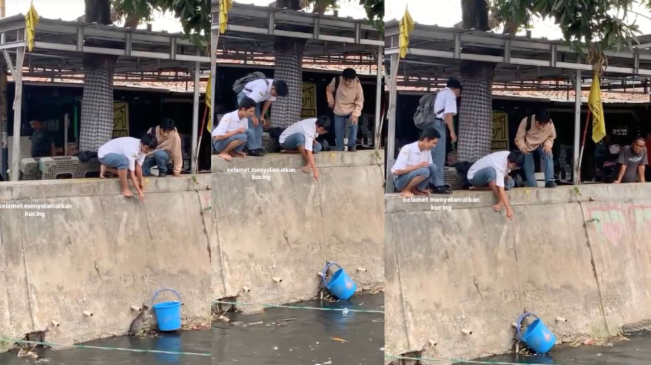 Viral Momen Pelajar Selamatkan Kucing, Netizen: MasyaAllah Anak Baik