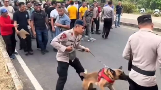 Viral Anjing Pelacak Gigit Komandan Polisi