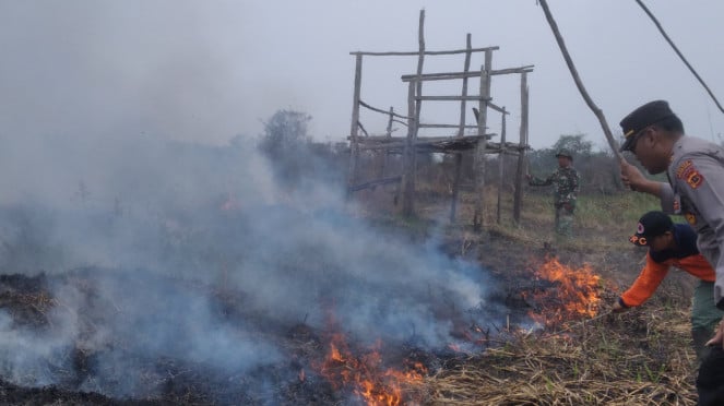Ilustración de incendios forestales y de campo en el pueblo de Mudung Darat, distrito de Maro Sebo, Muaro Jambi 