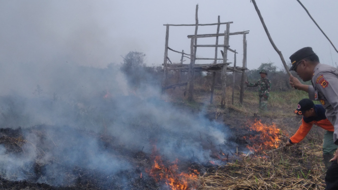 Kebakaran hutan dan lahan di Desa Mudung Darat, Kecamatan Maro Sebo, Muaro Jambi
