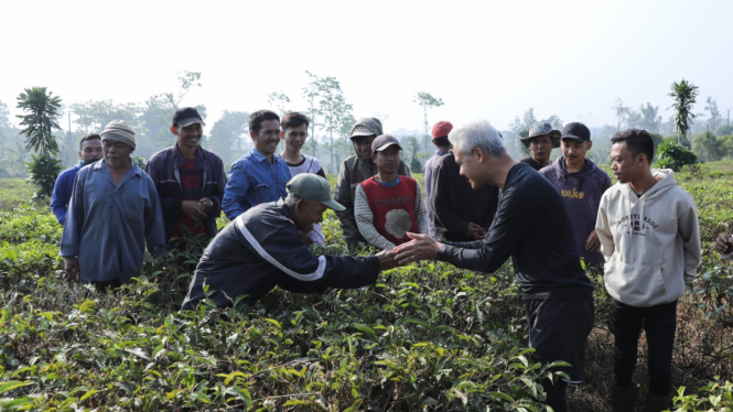 Bacapres Ganjar Pranowo bertemu dengan petani teh di Cianjur 