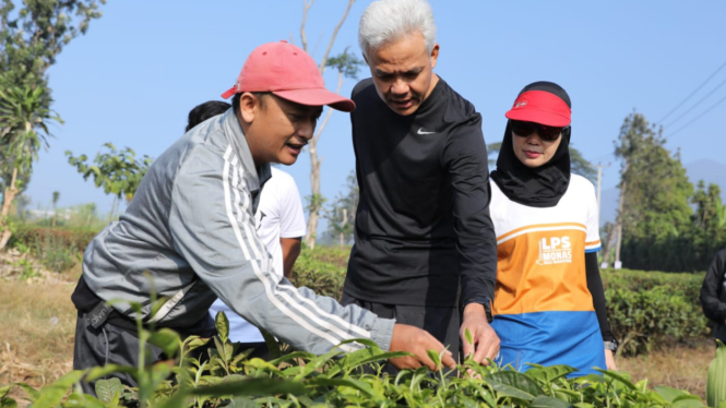 Bacapres Ganjar Pranowo dan istri bertemu petani teh di Cianjur