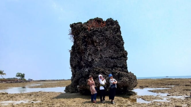 Sosok karang yang terdampar di daratan akibat tsunami 1883