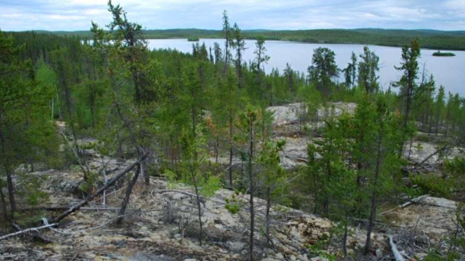 Hutan Boreal di Kanada terbakar.