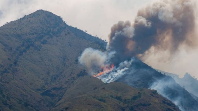 Gunung Merbabu kebakaran