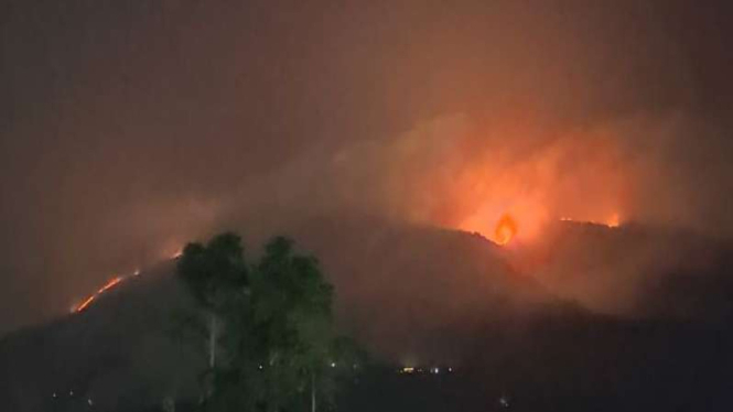 Kebakaran lahan melanda kawasan Gunung Merbabu, Jateng.