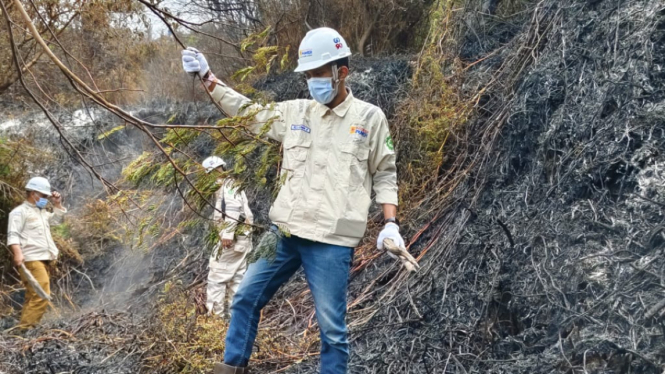 PLN Indonesia Power turut membantu atasi kebakaran hutan di 3 provinsi.
