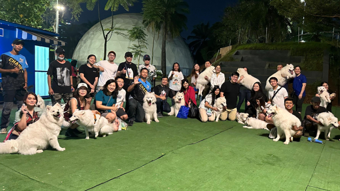 Komunitas Samoyed Social Club