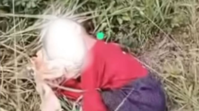 Viral Anak 3 Tahun Diduga Dibuang Orang Tuanya di Semak-semak
