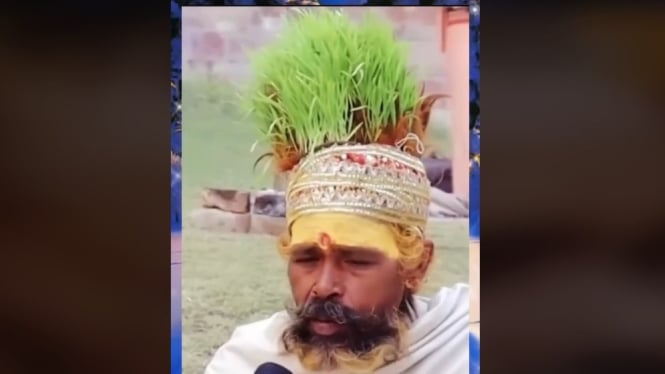 viral, pria menanam padi di kepala