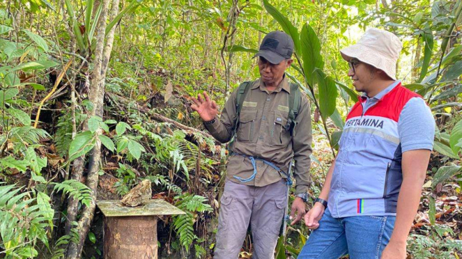 Pertamina kembangkan pelestarian hutan di Dusun Kokolomboi, Sulawesi Tengah