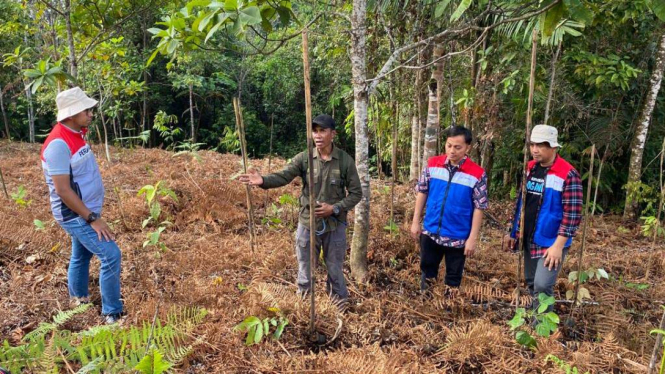 Pertamina kembangkan pelestarian hutan di Dusun Kokolomboi, Sulawesi Tengah