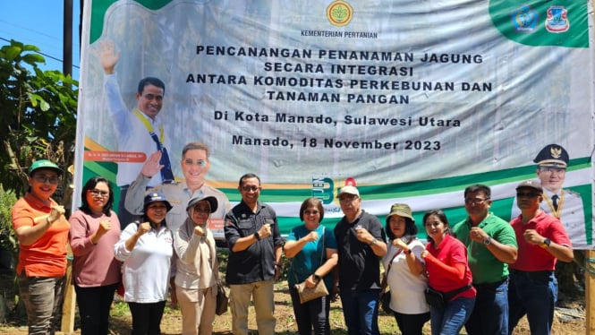 Kementan melakukan penanaman jagung integrasi kelapa di Kota Manado