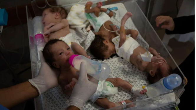 Bayi bayi prematur yang dipindahkan dari Gaza ke Mesir