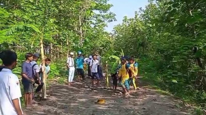 Belasan pelajar ramai-ramai menanam pohon pisang di tengah jalan raya Kabupaten.