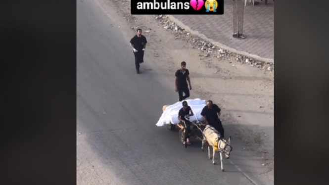 Keledai membawa jenazah Gaza