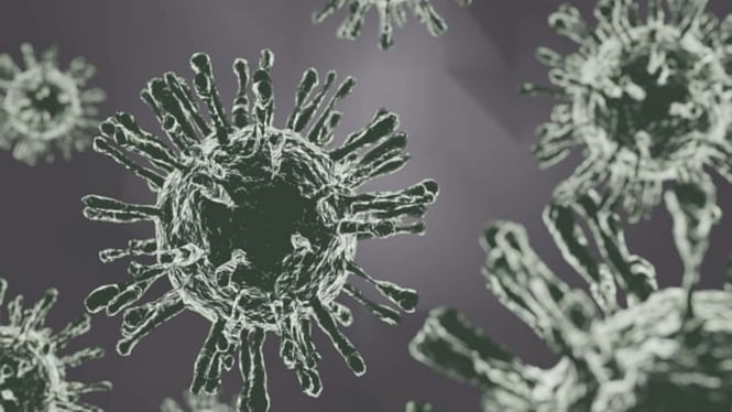Potensi Bahaya Penyakit X Semakin Mendekat, Ahli: Ancaman Pandemi Baru Kian Mengkhawatirkan