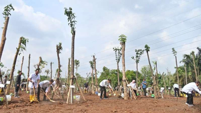 Swasta dan pemerintah melakukan penanaman pohon bersama Presiden RI, Joko Widodo