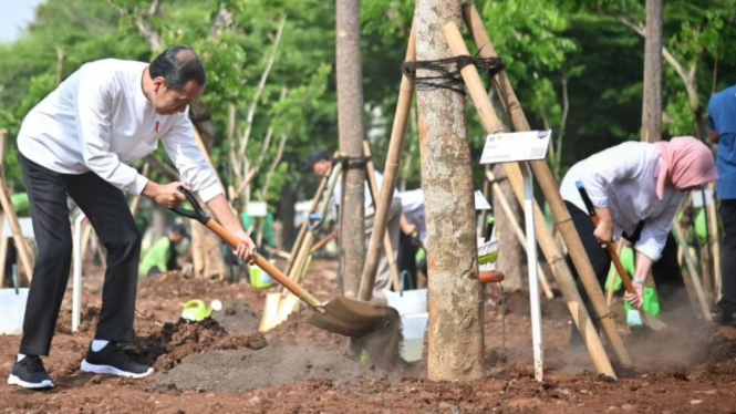 Presiden Jokowi dalam Gerakan Tanam Pohon serentak.