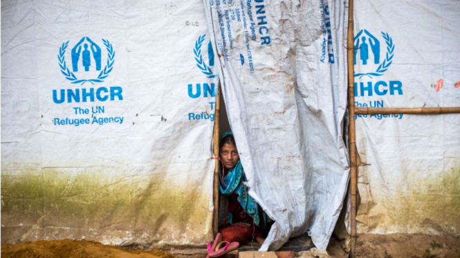 Ilustrasi Pengungsi UNHCR