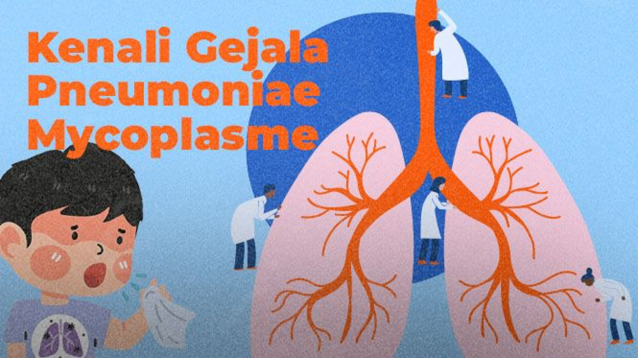 Foto Infografik Kenali Gejala Mycoplasma Pneumoniae 0510