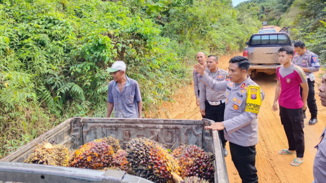 Kapolres Kotawaringin Timur, AKBP Sarpani atasi penjarahan Tandan Buah Segar Kelapa sawit