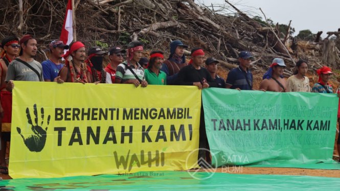 Walhi tolak ugal-ugalan ekspansi Hutan Tanaman Industri di Kalbar