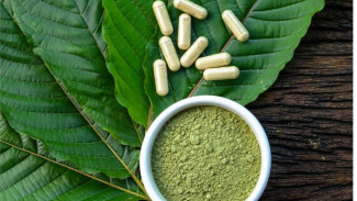 Knowing More about Kratom: Is It Safe for Body Health?