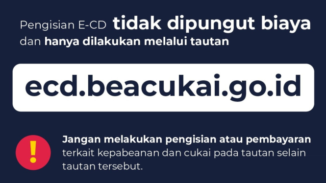 electronic customs declaration (e-CD)