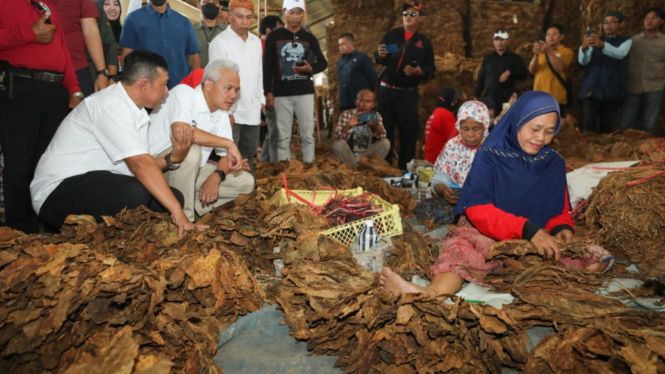 Capres nomor urut tiga Ganjar Pranowo mengunjungi petani tembakau di Klaten