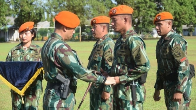 Velay Military: Dango II Coper