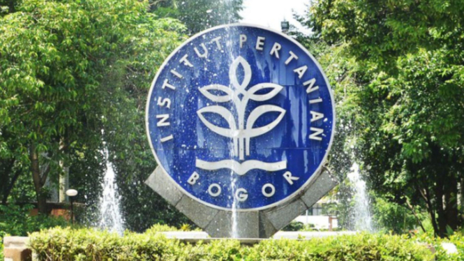 IPB University