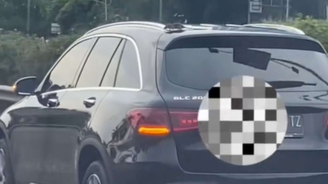 Viral Tikus Jalan-jalan di Mobil Mercedes Benz