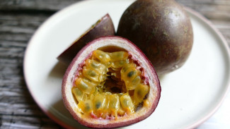 Manfaat Tersembunyi Buah Markisa, Cegah Penyakit Kronis Hingga Cegah Kegemukan