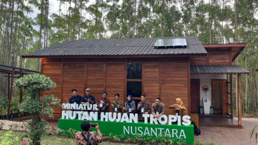 Konsep Bangun Hutan Hujan Tropis di IKN