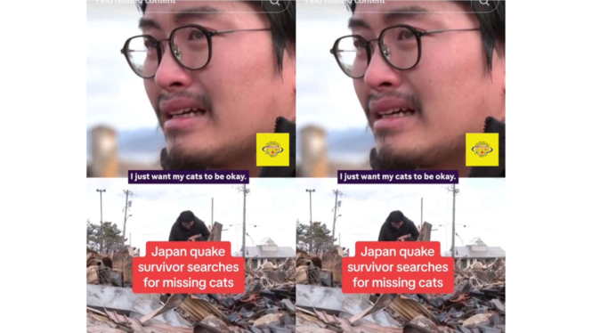 Kisah Kohei Kirimoto mencari kucing-kucingnya pasca gempa di Jepang