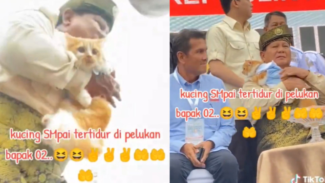 Prabowo gendong kucing warga saat kampanye di Kepulauan Riau