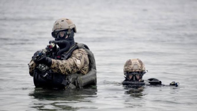 VIVA Militer: Pasukan elite Navy SEAL Angkatan Laut Amerika Serikat