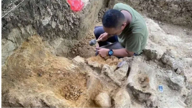 Penemuan Fosil Purbakala Utuh Gegerkan Kudus Jawa Tengah